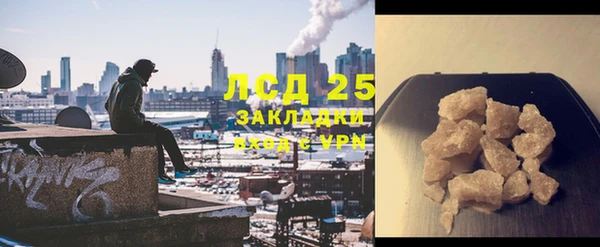 прущие грибы Аркадак