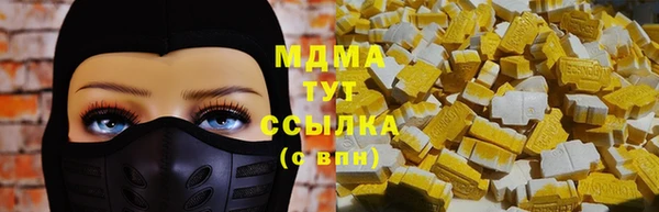 прущие грибы Аркадак