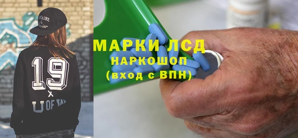 прущие грибы Аркадак