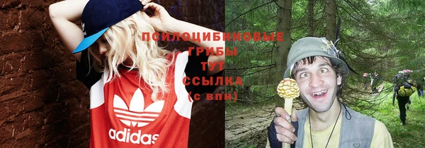 ECSTASY Армянск