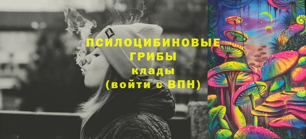 прущие грибы Аркадак