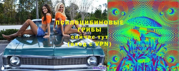 прущие грибы Аркадак