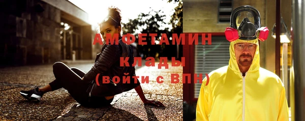 прущие грибы Аркадак