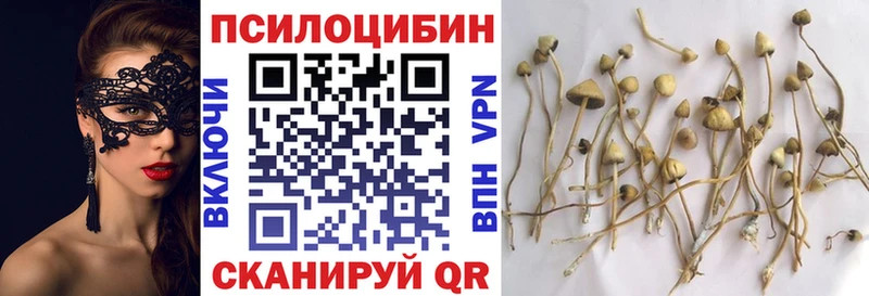 Галлюциногенные грибы мицелий  купить наркотики сайты  Лаишево 